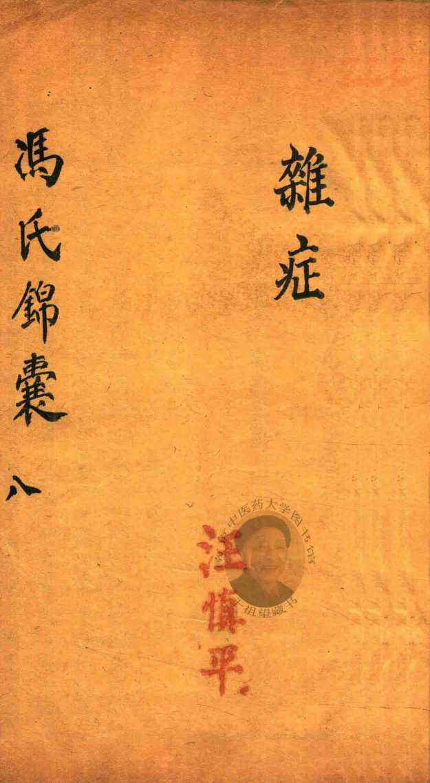 冯氏锦囊秘录  8  杂症  卷11